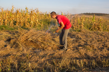 Naklejka na ściany i meble man working in autumn,man at sunset working in autumn on field, burning dry grass