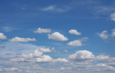 sky  fieid nad bird in nature