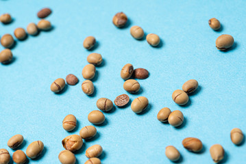 roasted soy beans, top view