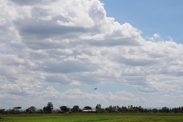 sky  fieid nad bird in nature