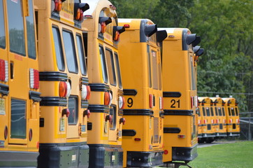 buses parked in a line