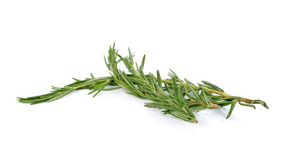 rosemary on a white background