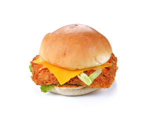 Delicious hamburger on white