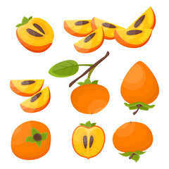 Bright vector set of colorful half, slice and whole of juicy persimmon. Fresh cartoon persimmon isolated on white background. Vector.