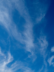 Clear Blue sky and cloud background in sunny day