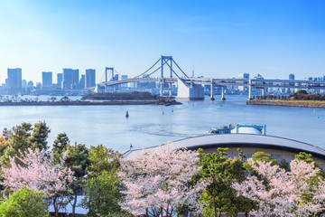 さくら咲くお台場　東京