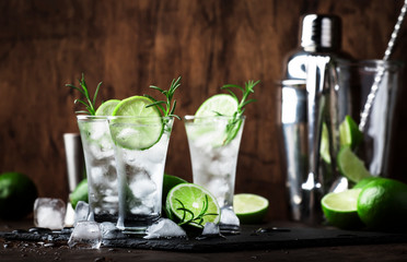 Classic gin tonic cocktail with lime, ice and rosemary. Vintage bar, evening atmosphere, bar tools