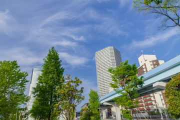 Fototapeta premium 春の豊洲市街 東京