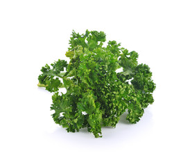 Obraz premium parsley isolated on a white background