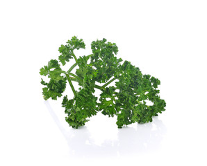 Obraz premium parsley isolated on a white background