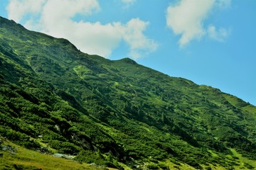landscape in Fagaras mountains in summer