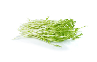 Green Pea Sprouts isolated on white