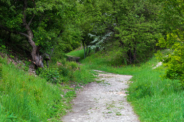 Obraz premium Twardowski Rocks, Krakow, Poland