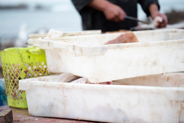 Fishermen at fish market, Essaouira, Morocco 