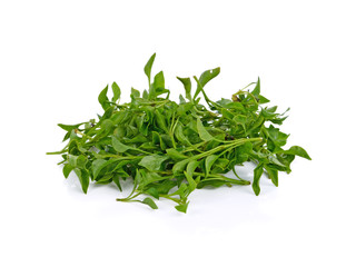 Fresh Watercress isolated on white background