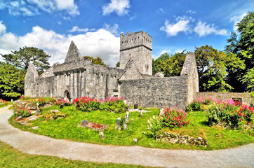 The Franciscan friary of Irrelagh, now known as Muckross Abbey in the Killarney National Park, Ireland - obrazy, fototapety, plakaty
