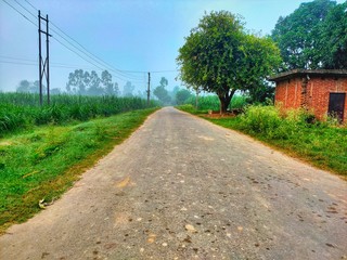 road in the countryside