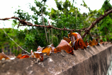 Fence that has piece of glasses barbed wire on the top, broken glasses on concrete fence, fence for protect thief