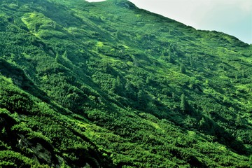 landscape in Fagaras mountains in summer