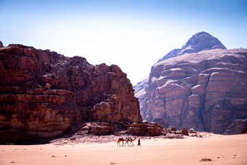 Wadi Rum desert great landscape