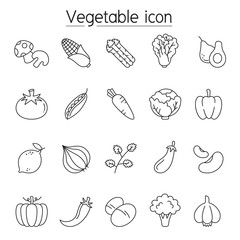 Vegetable icon set in thin line style