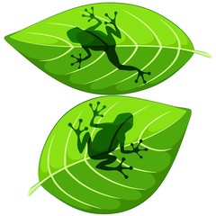Frog shapes on Green Leaves Vector illustrations isolated on white