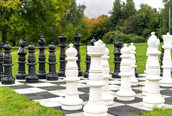 Giant chess pieces on a background of nature.