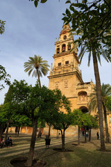 Fototapeta na wymiar Cordoba,Spain,2,2014;Exteriors of the Mosque-cathedral