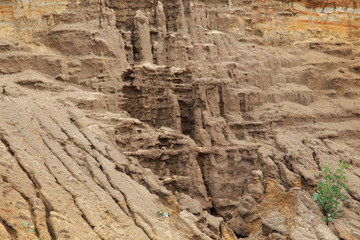 Texture of the clay-sand bluff wall.