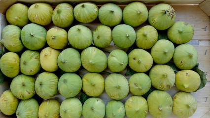 Figs - Fresh organic figs