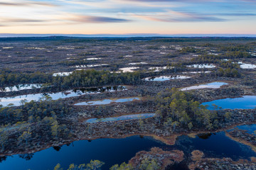 Obraz premium Sunset in the bog, golden marsh, lakes and nature environment. Sundown evening light in spring