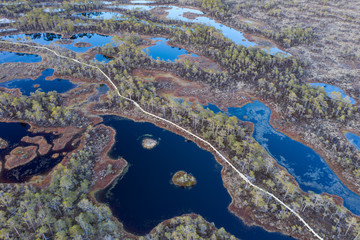 Sunset in the bog, golden marsh, lakes and nature environment. Sundown evening light in spring