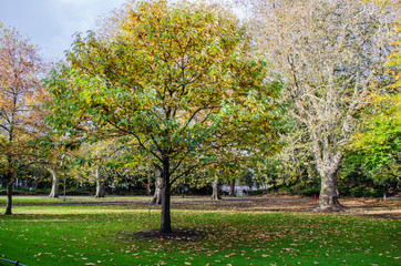Park in europe during the Spring