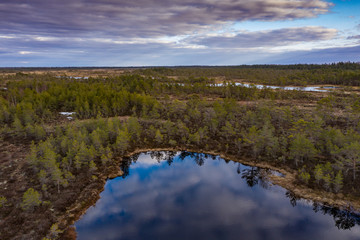 Sunset in the bog, golden marsh, lakes and nature environment. Sundown evening light in spring