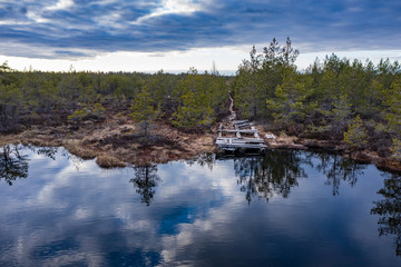 Sunset in the bog, golden marsh, lakes and nature environment. Sundown evening light in spring