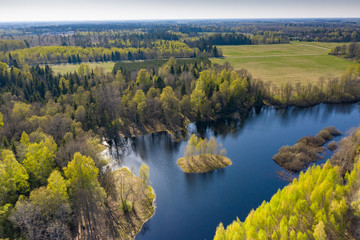 Sunset in the bog, golden marsh, lakes and nature environment. Sundown evening light in spring