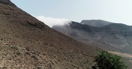 mountains clouds and two palm trees in the desert
