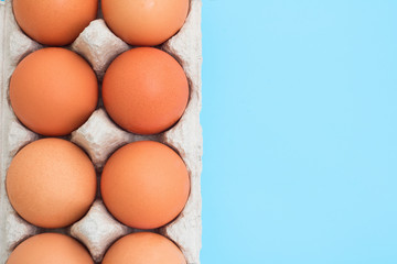 Organic chicken eggs in an eco-friendly recycling box are isolated on a blue background.