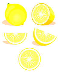 Lime citrus set