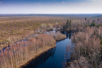 Sunset in the bog, golden marsh, lakes and nature environment. Sundown evening light in spring