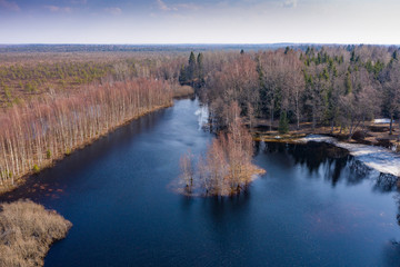 Fototapeta premium Island in the bog, golden marsh, lakes and nature environment. Sundown evening light in spring