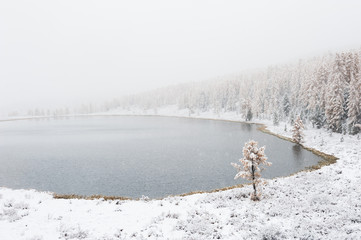 First snow in the autumn forest. Kidelu lake in Altai mountains, Siberia, Russia.