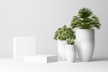 3D render of plant with white vase and product stand on white background