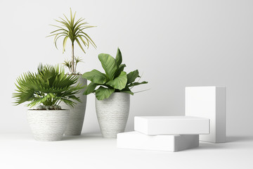 3D render of plant with white vase and product stand on white background