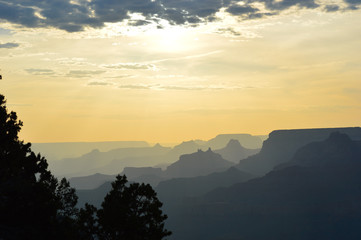 Fototapeta na wymiar Landscape of the Grand Canyon ridges paled out as the sun peaks from behind a cloud, trees silhouettes in the foreground