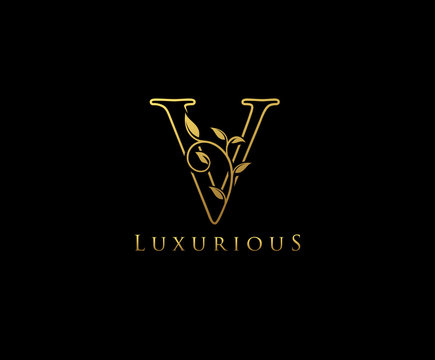 Letter V Logo Icon . Initial Letter V Design Vector Luxury Gold Color.Print monogram initials line art sign symbol.