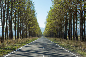 Nature and culture of Georgia