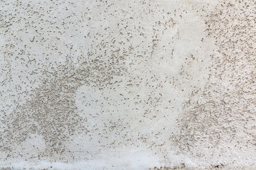 gray concrete background texture clean stucco fine grain cement