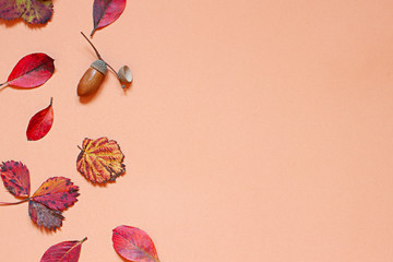 Colorful Autumn leaves concept frame on the beige background. Copy space