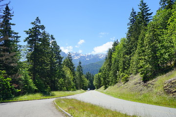 Obraz premium Beautiful mountains in Olympic National Park in summer in Washington, near Seattle 